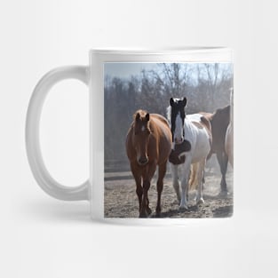 Mares Mug